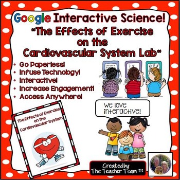 Preview of Cardiovascular System Activity Lab | Google Slides