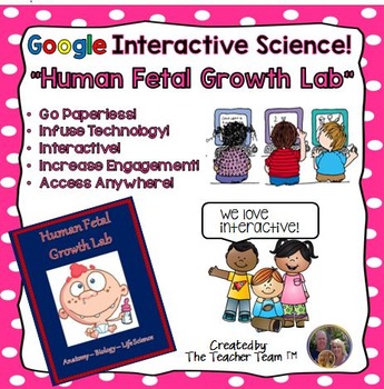 Preview of Human Growth and Fetal Development | Google Classroom | Google Slides