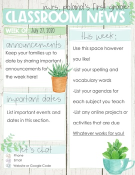 Preview of Google - Newsletter - Succulent Theme 