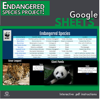 Preview of Google Sheets - Endangered Species Project (Distance Learning)