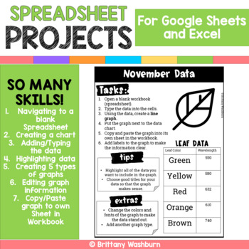 Preview of Google Sheets and Excel Spreadsheet Projects {12 Months} 