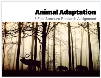 Animal Adaptations Modified Assignment (Project-based Learning Accompanimen