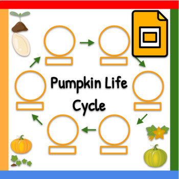 Preview of Google Slides™︱Drag and Drop Pumpkin Life Cycle Stages Labels and Clipart Game