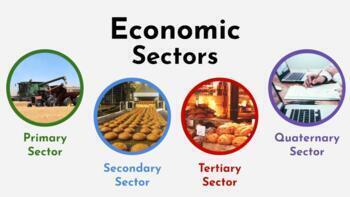 Preview of Google Slides - Economic Sectors - Research Assignment