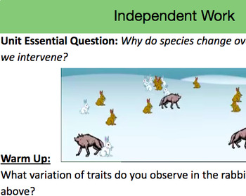 Preview of Google Slides - Evolution unit - adaptation, variation, evidence and graphing