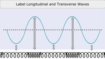 Preview of Google Slides: Labeling Parts of  Longitudinal and Transverse Waves