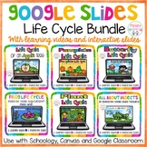 Google Slides Life Cycle Bundle