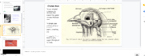 Google Slides - Mike the Headless Chicken - Anatomy - The Brain