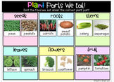 Google Slides: Parts of the Plant We Eat (Digital Resource)
