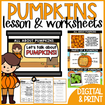 Preview of Parts of a Pumpkin Lesson and Pumpkin Life Cycle Worksheet Kindergarten Science