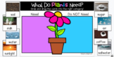 Google Slides: What Do Plants Need? Sort (Digital Resource)