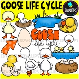 Goose Life Cycle Clip Art Set {Educlips Clipart}