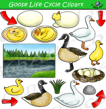 baby goose clipart