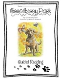 Gooseberry Park Guided Reading Packet, CC-Aligned!