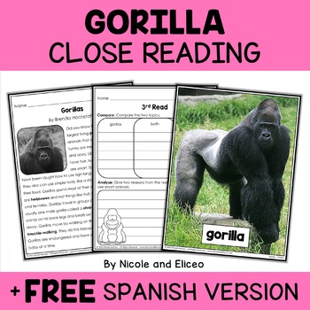 Preview of Gorilla Close Reading Comprehension Passage Activities + FREE Spanish
