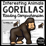 Gorillas Informational Text Reading Comprehension Workshee