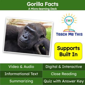 Preview of Gorillas Informational Text Reading Passage and Activities