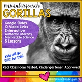 Gorillas ... 5 days of animal research mixed w/ literacy s