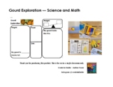 Gourd Exploration - Science and Math - Kindergarten Inquir