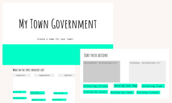 Preview of Government My Town Assessment