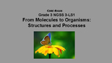 Gr. 3 From Molecules to Organisms: Structures and Processe