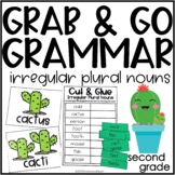 Grab and Go Grammar Irregular Plural Nouns