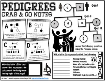 Preview of Grab-and-Go Notes: Pedigrees