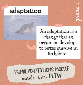 Preview of Grade 1 Animal Adaptations Module Resources