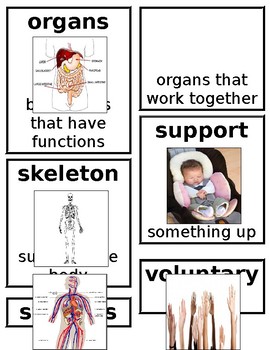 Preview of Grade 1 CKLA Domain 2:The Human Body Core Vocabulary Cards