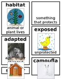 Grade 1 CKLA Domain 8: Animals and Habitats Core Vocabulary Cards