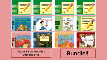 Preview of "Grade 1 ELA- Module 1 BUNDLE" Google Slides- Bookworms Supplement