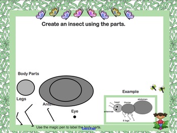 Preview of Grade 1 Insects