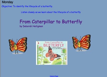 Preview of Grade 1 Lifecycle of a Butterfly