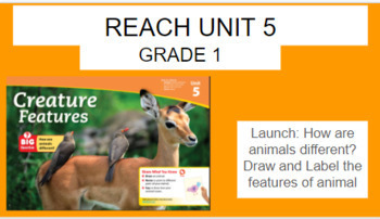 Preview of Grade 1 Unit 5 Reach National Geographic