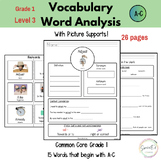 Vocab Graphic Organizers and Word mapping - Level 3 (SPED/