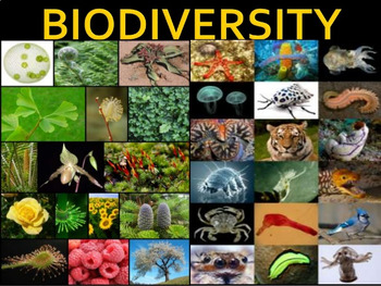 biodiversity diversity india species living conservation biology its hotspots biological things life resources class climate change presentation ecosystems grade importance