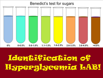 Preview of High School Homeostasis LAB- Identification of Hyperglycemia!