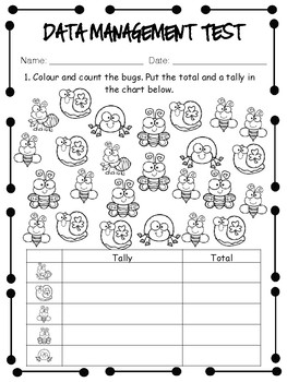 grade 2 data management unit test by miss pages classroom
