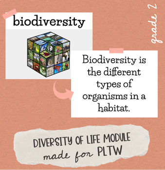 Preview of Grade 2 Diversity of Life Module Resources