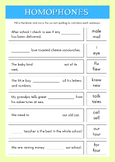 Grade 2 Homophones Worksheet - English