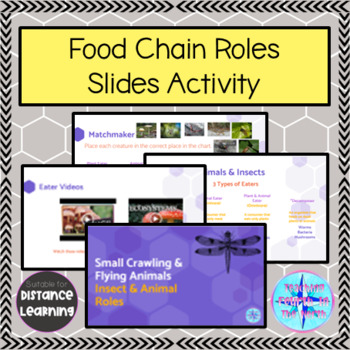 Grade 2 Science Alberta - Crawling & Flying Animals - Food Chain Roles