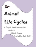 Grade 3 Animal Life Cycles