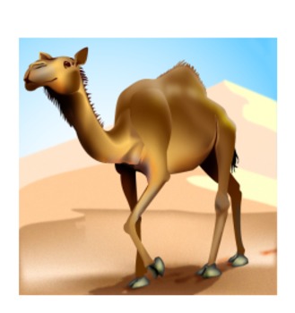 Preview of Grade 3 Module 1 My Librarian is a Camel Unit 1