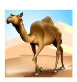 Grade 3 Module 1 My Librarian is a Camel Unit 1