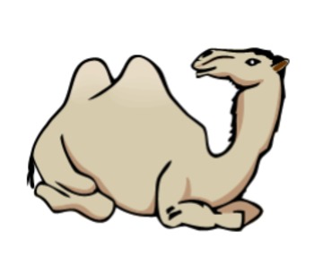 Preview of Grade 3 Module 1 Unit 3 My Librarian is a Camel