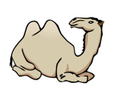 Grade 3 Module 1 Unit 3 My Librarian is a Camel
