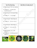 Grade 3 Module 2 Unit 2 Lesson 4 Modified Assignment