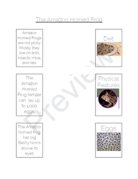 Preview of Grade 3 Module 2 Unit 2 Lesson 9: Modified Assignment for the Amazon Horned Frog