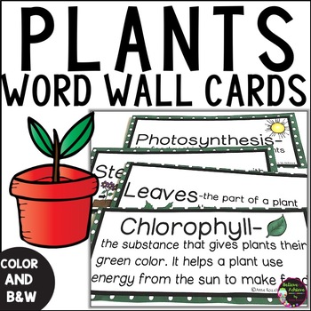 Preview of Plants Vocabulary Cards With Definitions