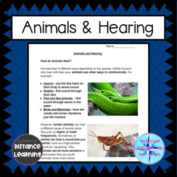 Preview of Grade 3 Science Alberta - Hearing and Sound - Animal Hearing - Research Project